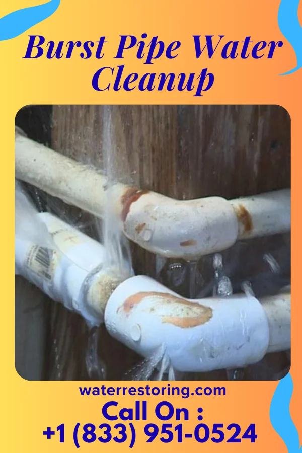 Burst Pipe Water Cleanup in Boys Town, NE