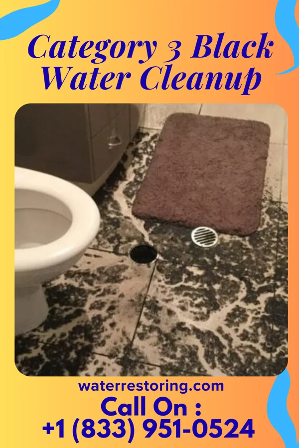 Category 3 Black Water Cleanup in Boys Town, NE